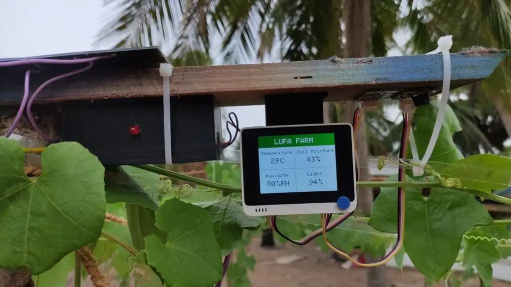 The sensor station on the luffa farm, its screen showing temperature and humidity, July 2022. Photo: Dinacon 2022.