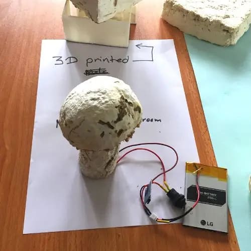 The grown lamp with its light and battery, July 2022. Photo: Dinacon 2022.