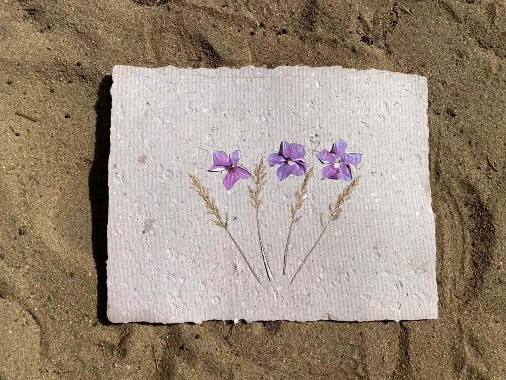 Handmade paper with embedded flowers, July 2022. Photo: Dinacon 2022.