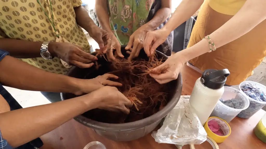 Sorting fibre for pulping, July 2022. Photo: Dinacon 2022.