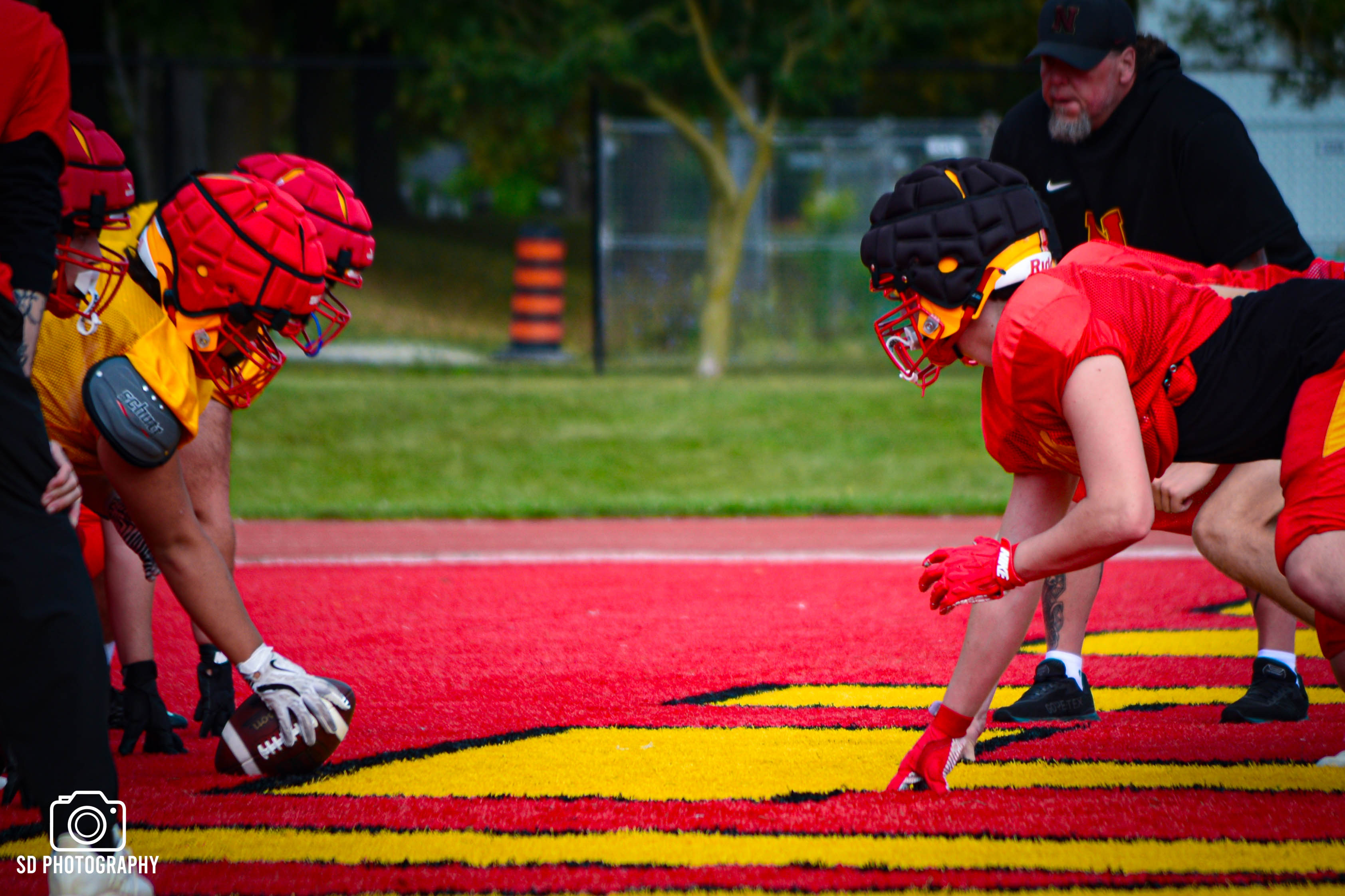 Sports
