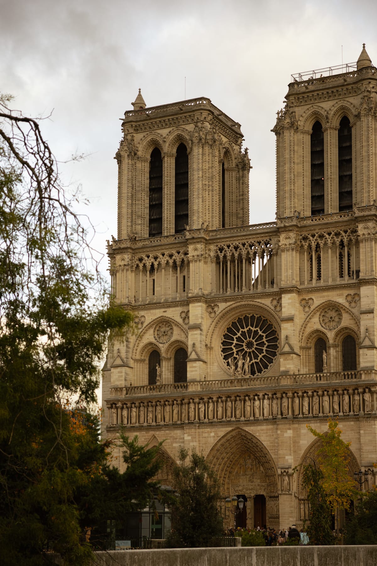 The twin towers and rose window of Notre-Dame framed by trees