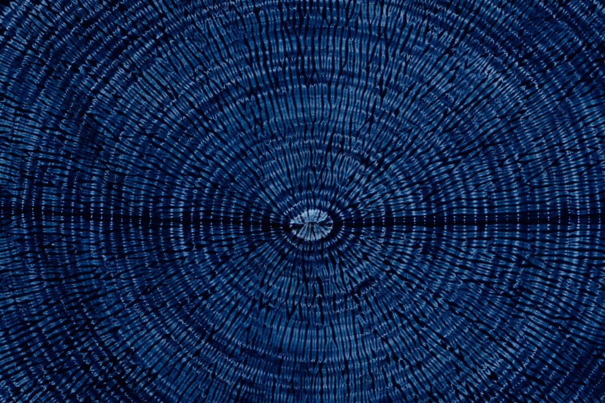 A concentric indigo textile pattern radiating from a pale center