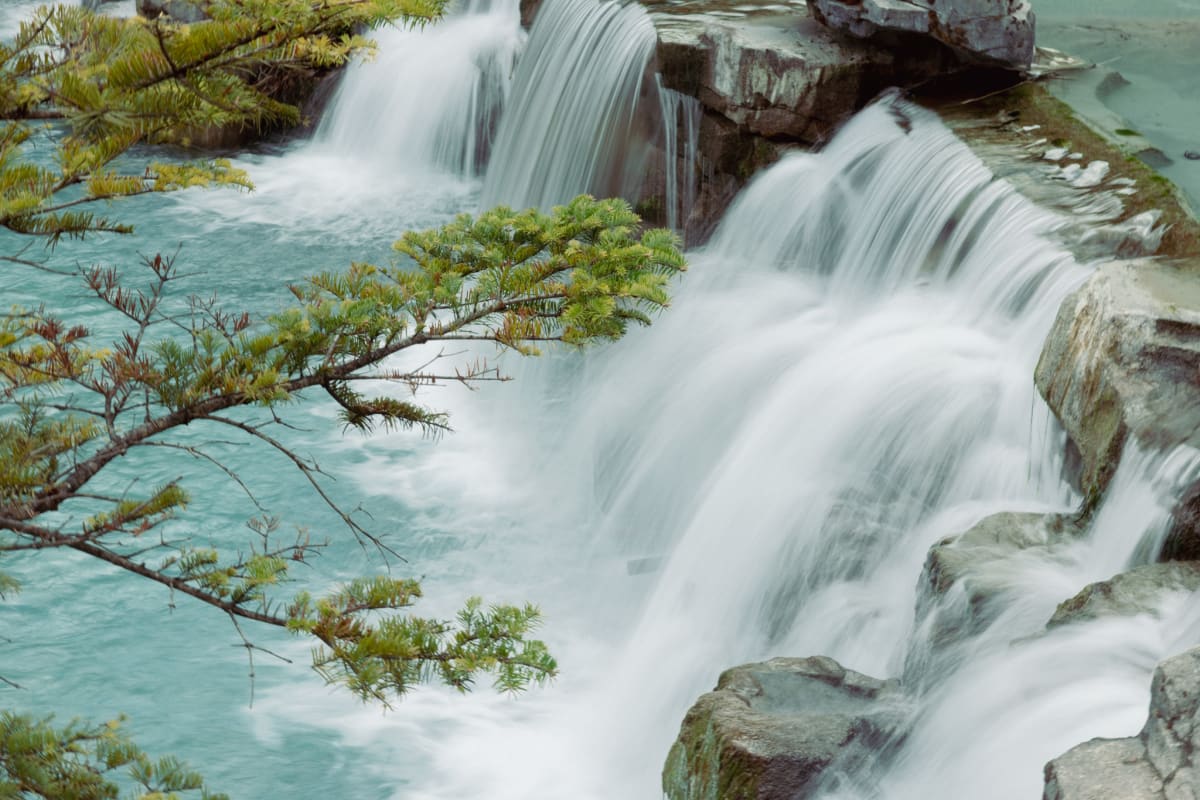 Water cascading over dark rocks behind green pine branches
