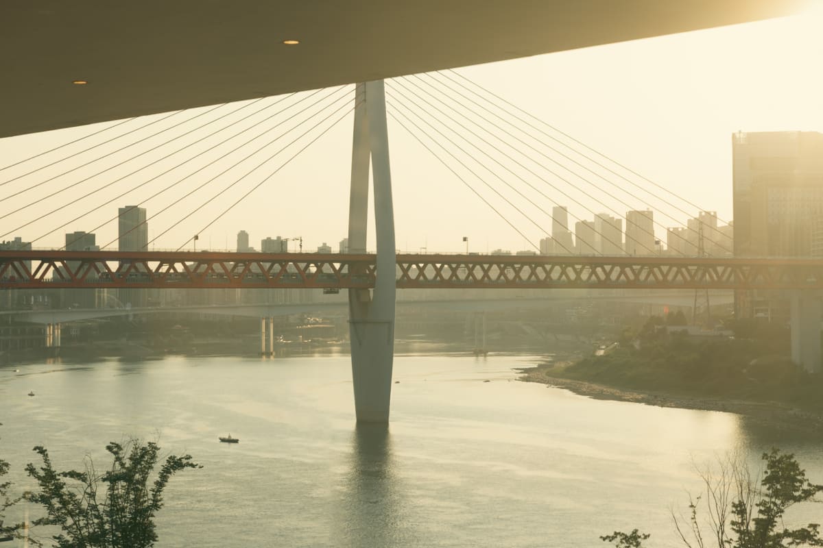 A cable-stayed bridge crossing the river in warm evening light