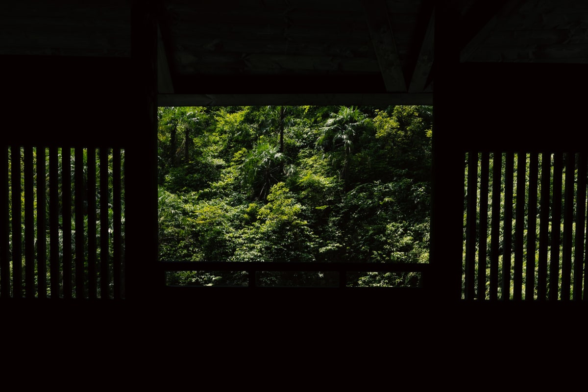 Dense green forest framed by the dark interior of a wooden pavilion