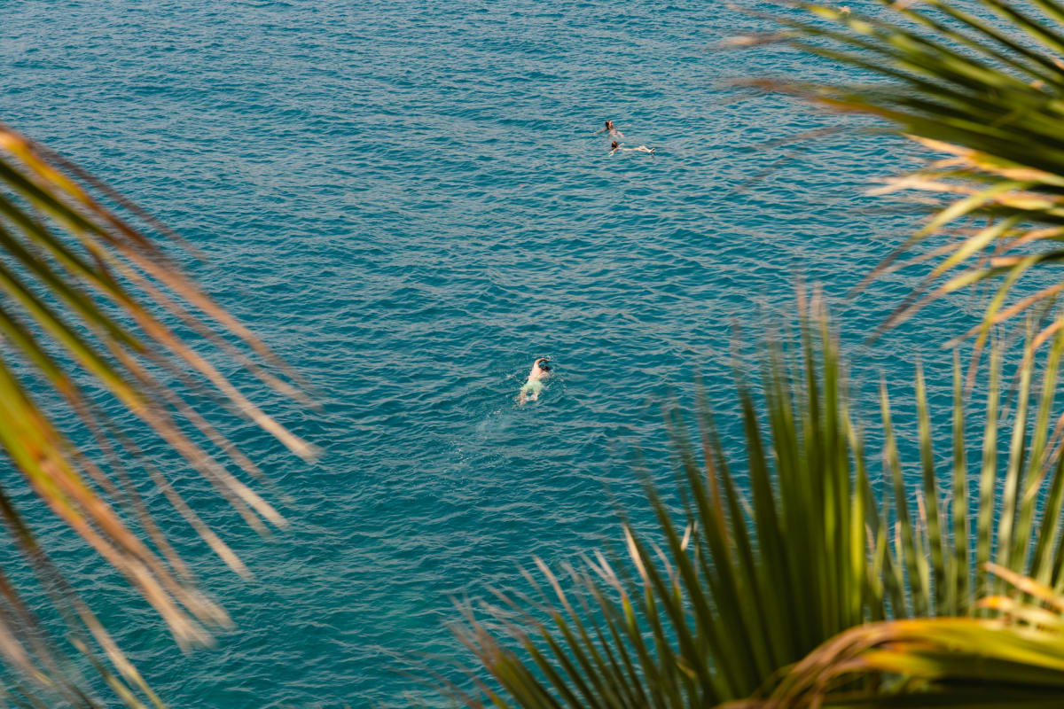 Swimmers in turquoise Mediterranean water framed by palm leaves