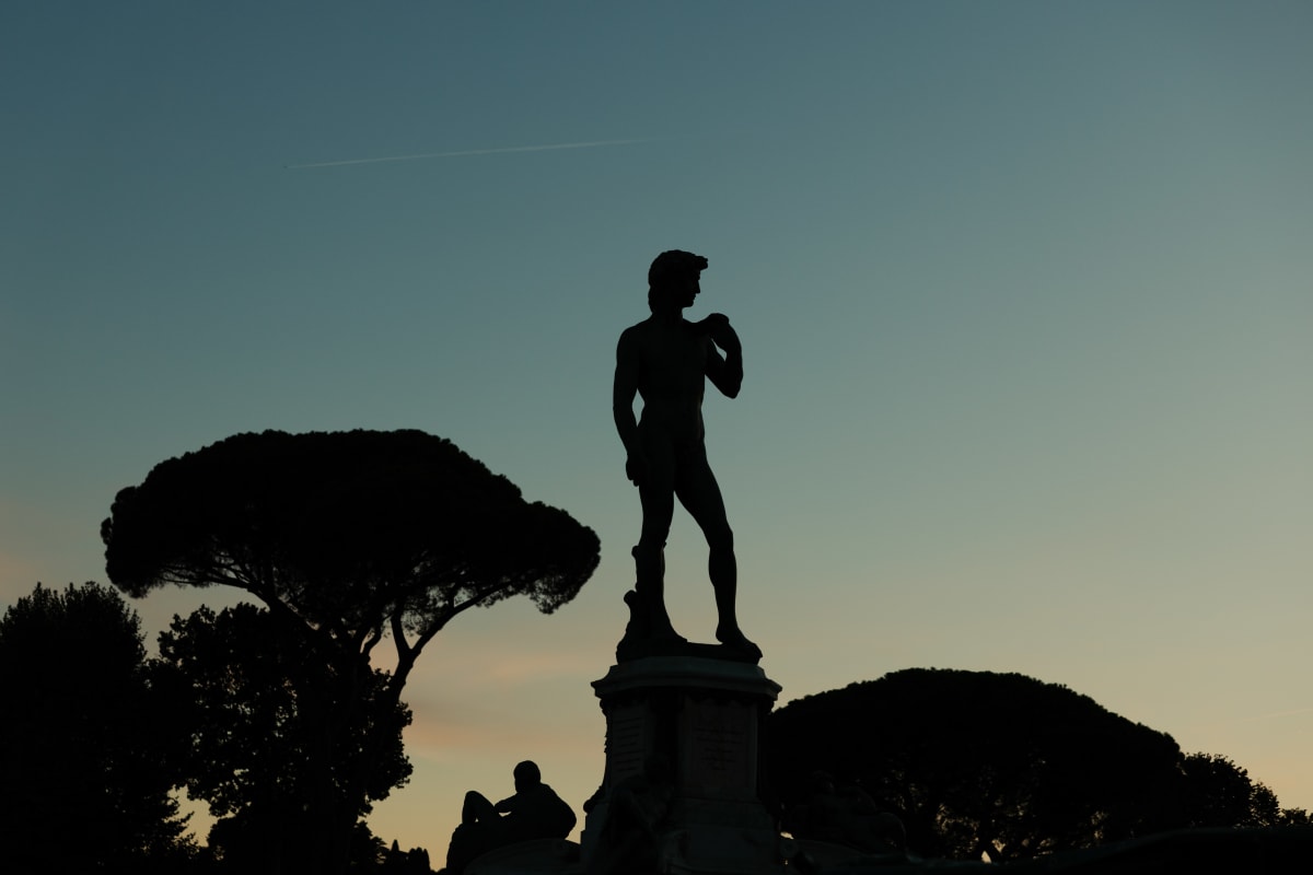 The silhouette of David framed by umbrella pines at dusk