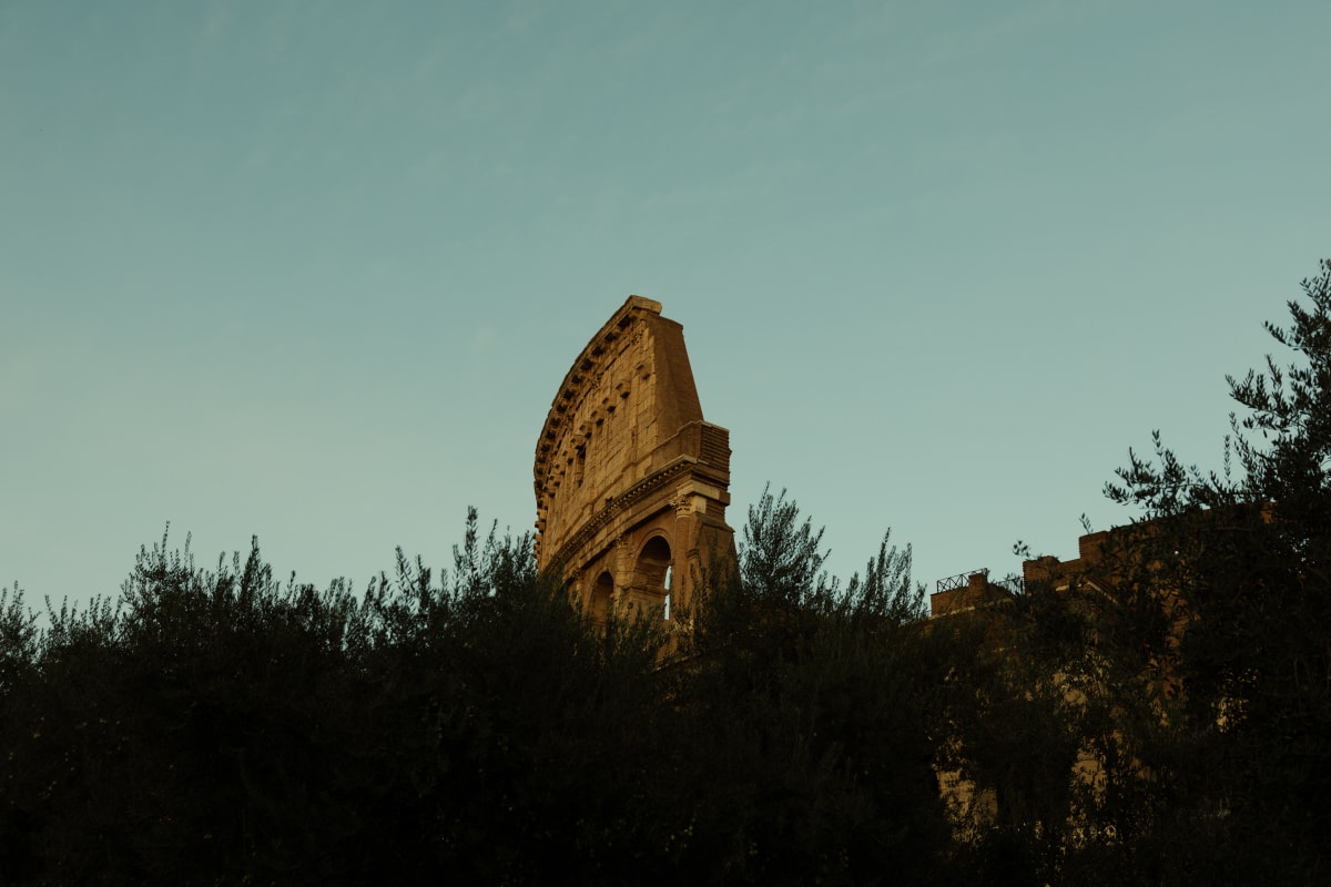 The Colosseum rising above dark trees in warm evening light