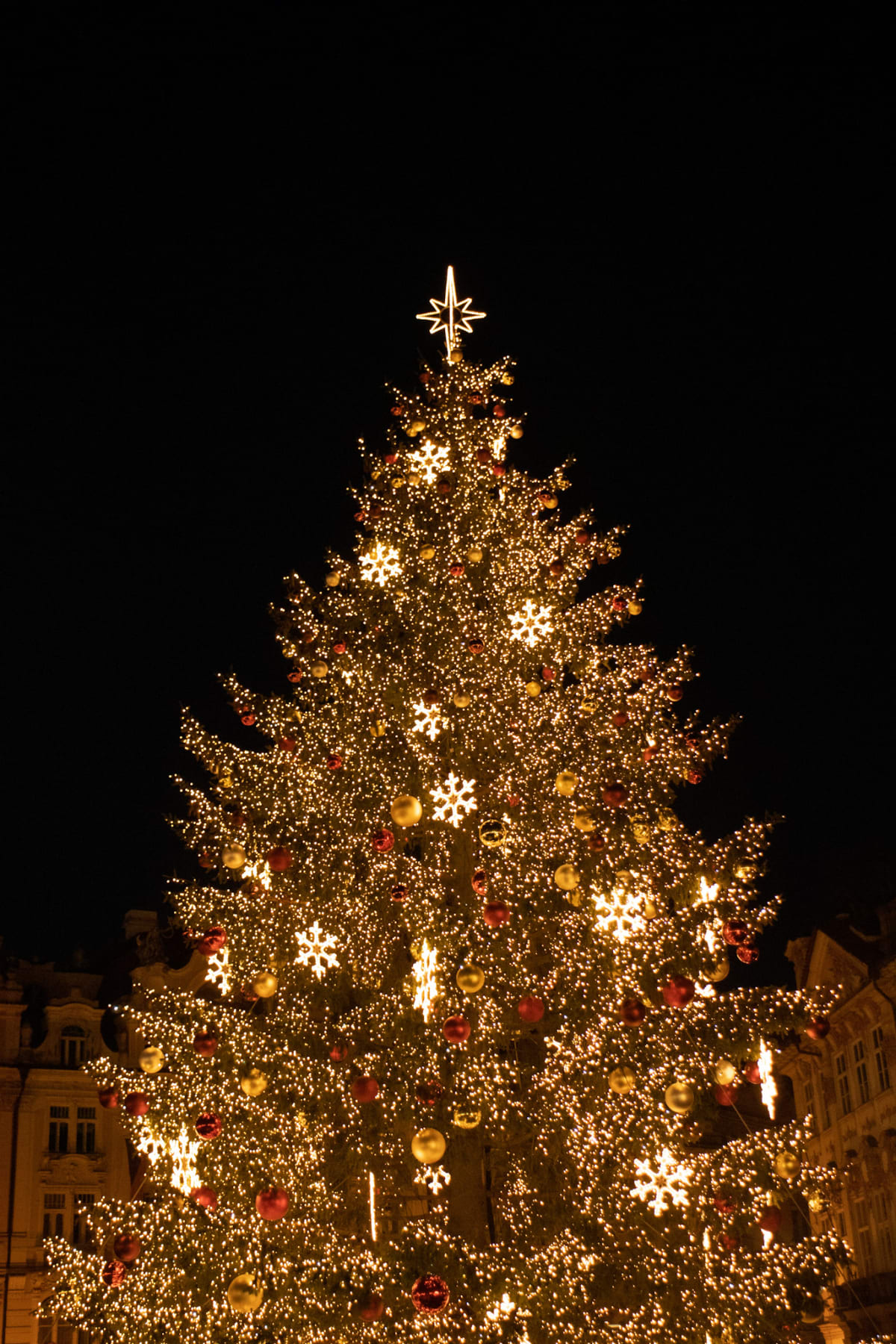 A towering Christmas tree covered in golden lights