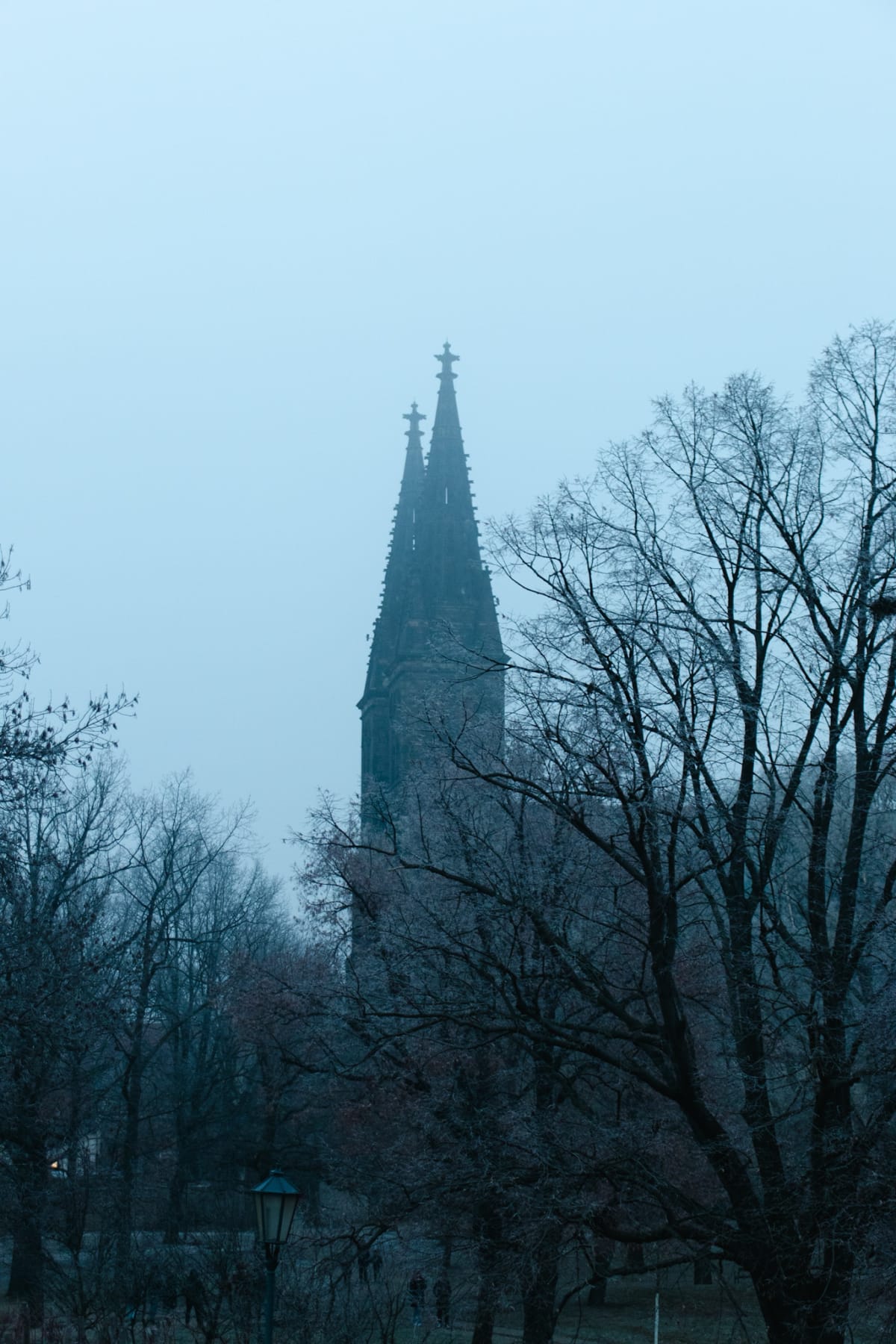 A Gothic church spire rising through frosted winter trees