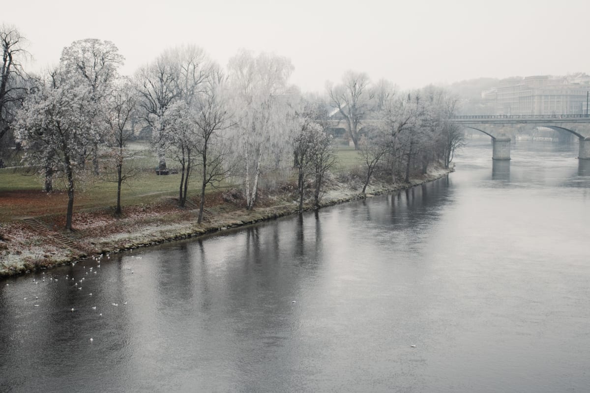 A wintry riverbank and bridge fading into pale mist