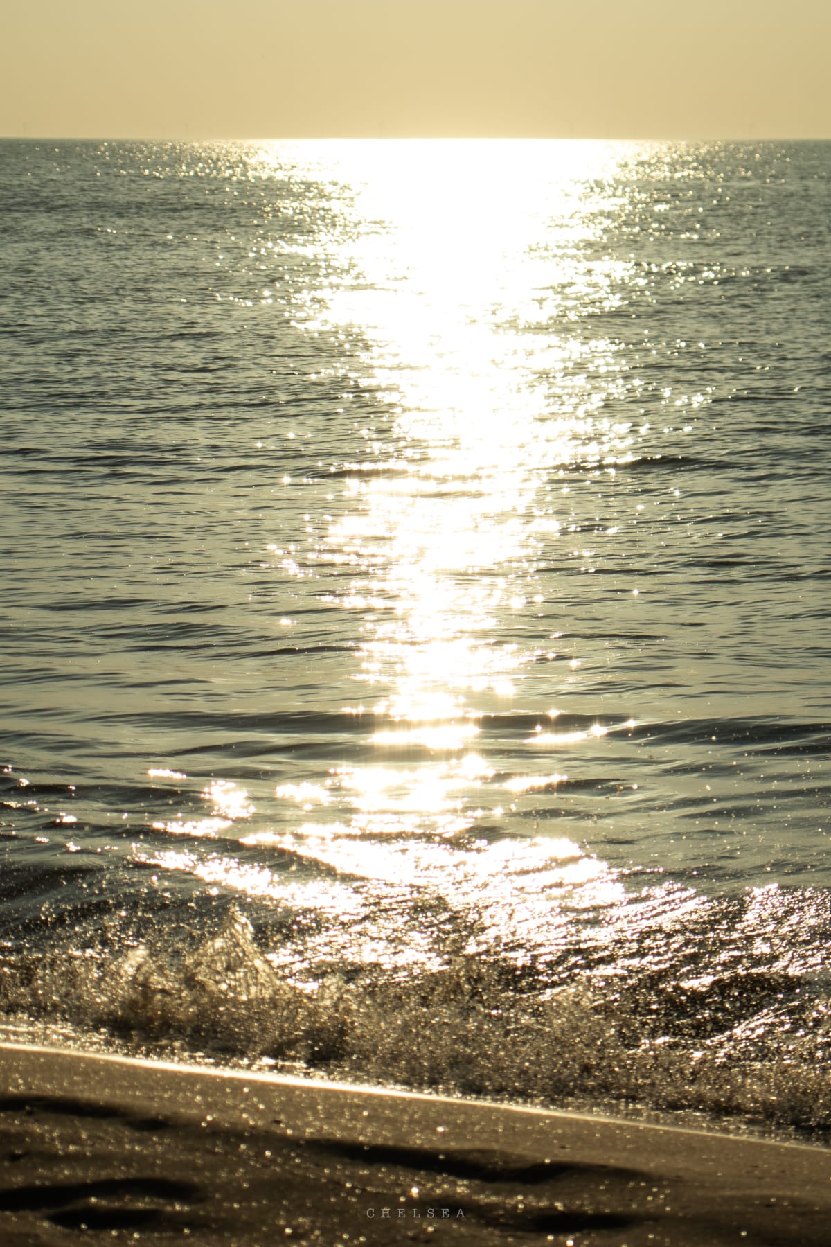 Golden sunlight sparkling across small waves at the shore