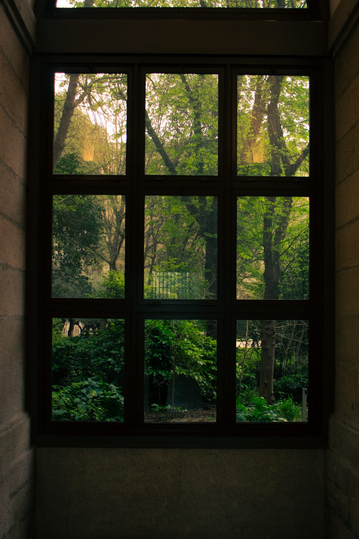 Lush green trees seen through a dark gridded window
