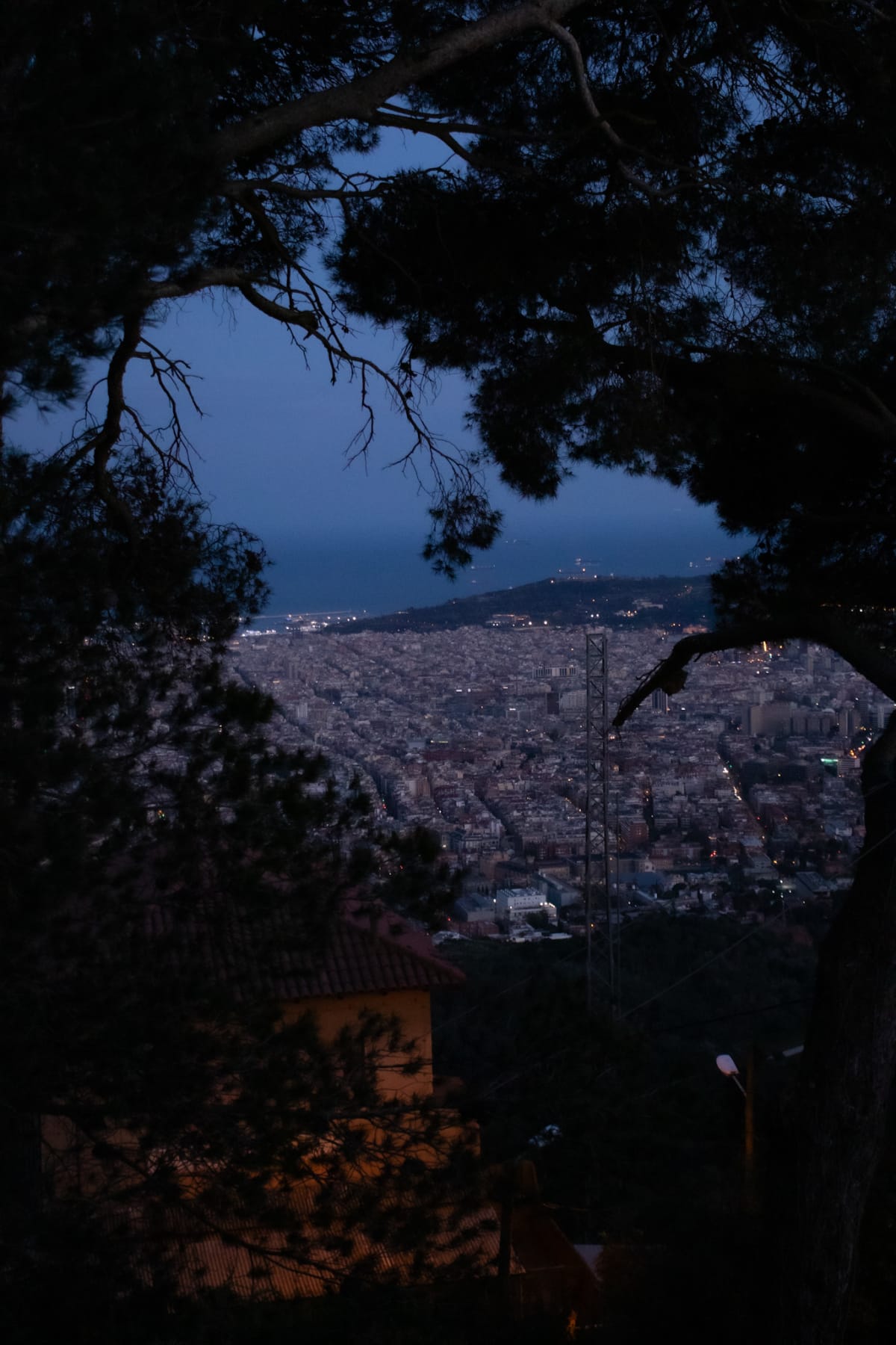 Barcelona at blue hour framed by dark pine branches
