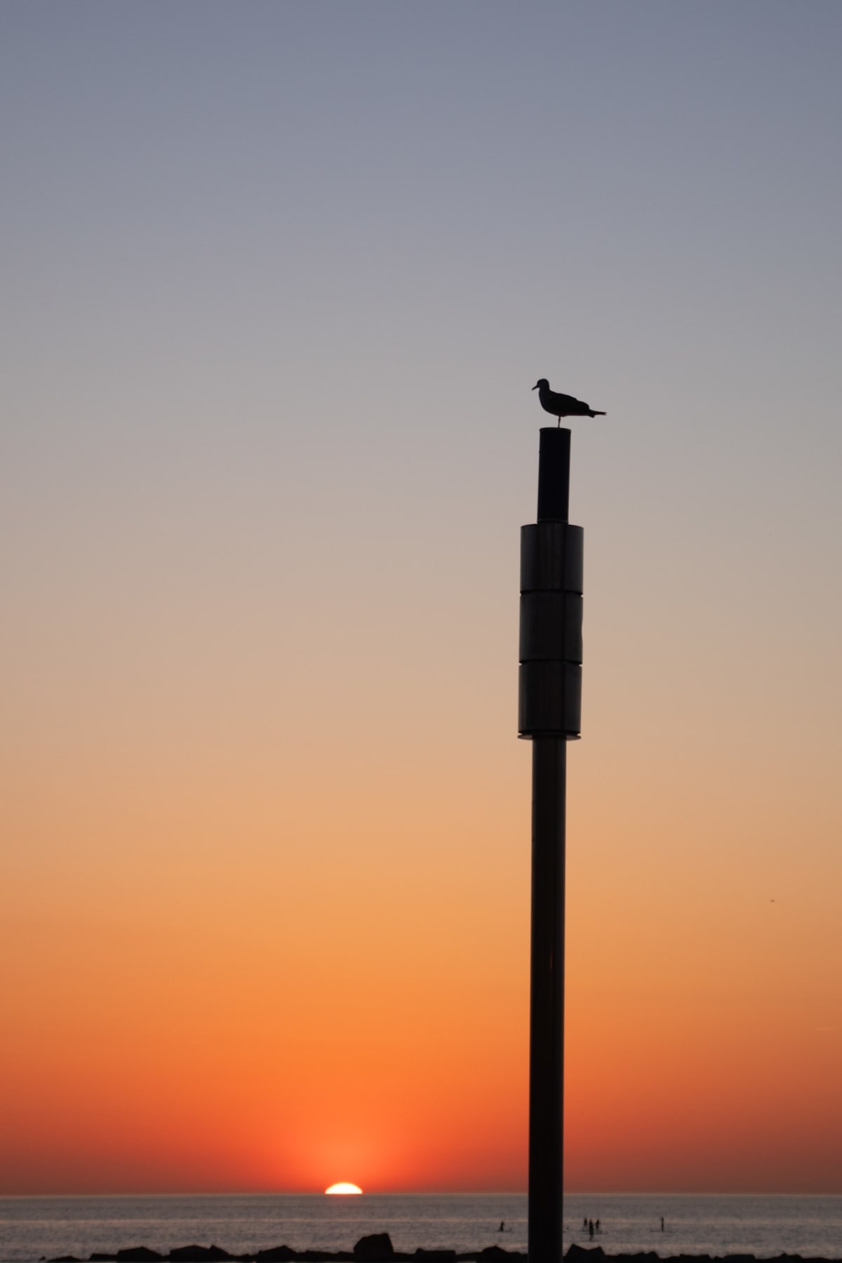 A gull perched above the setting sun on a quiet coastline