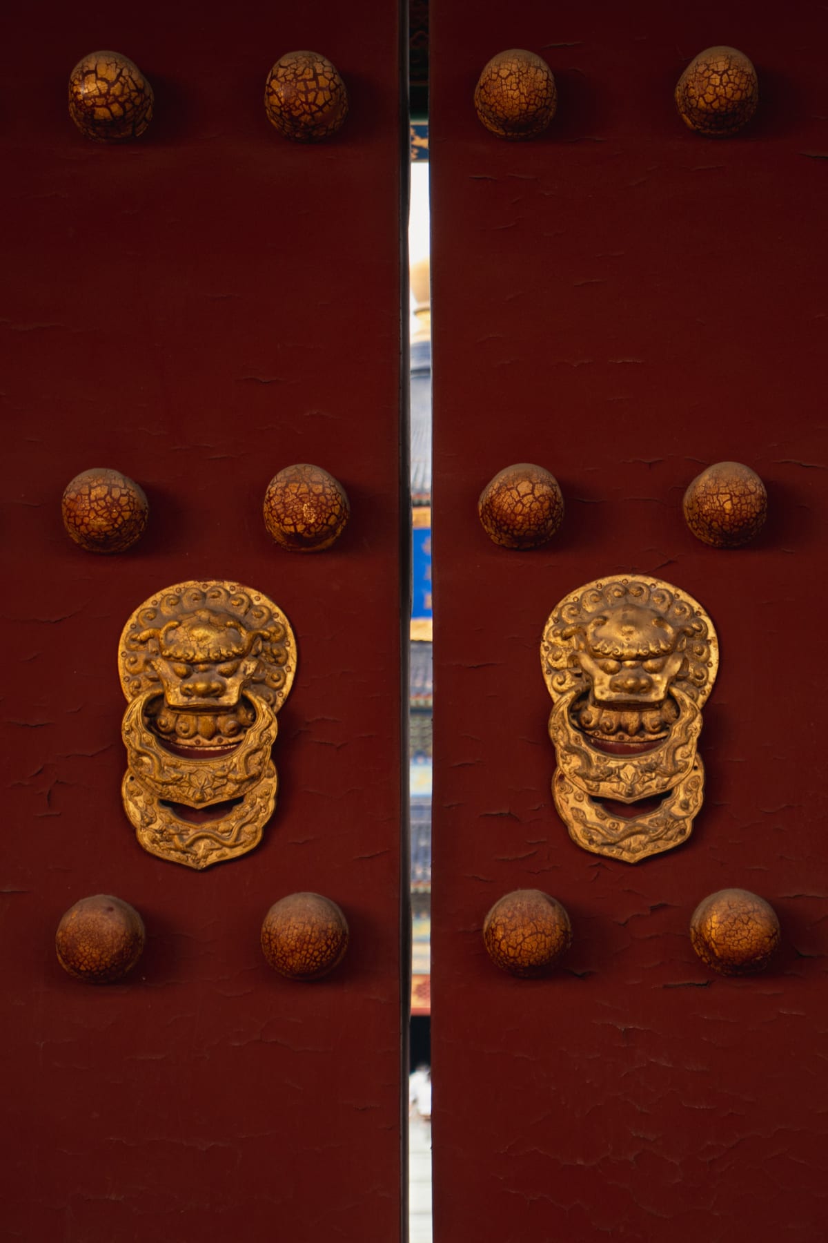 Ornate golden lion knockers mounted on a red palace door