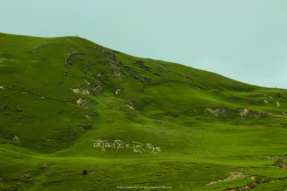 White Tibetan script painted across a vivid green hillside
