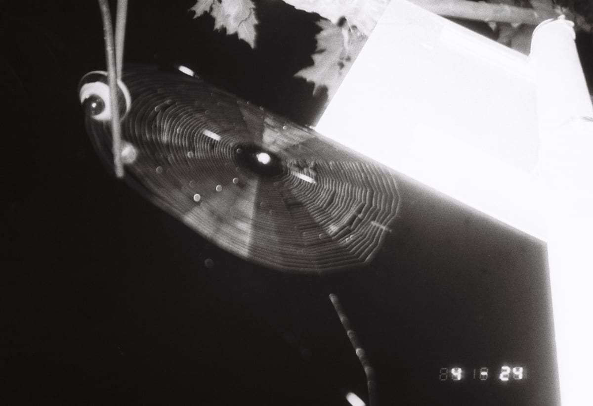 A black-and-white close-up of a spider web beside a bright geometric light