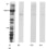 Image thumbnail for Anti-Fast Skeletal Muscle C-protein, Polyclonal [C-protein]