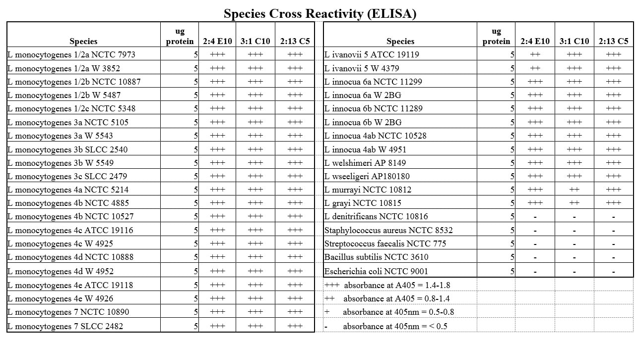 Image thumbnail for Anti-Listeria monocytogenes antigen 2 [2:13 C5]