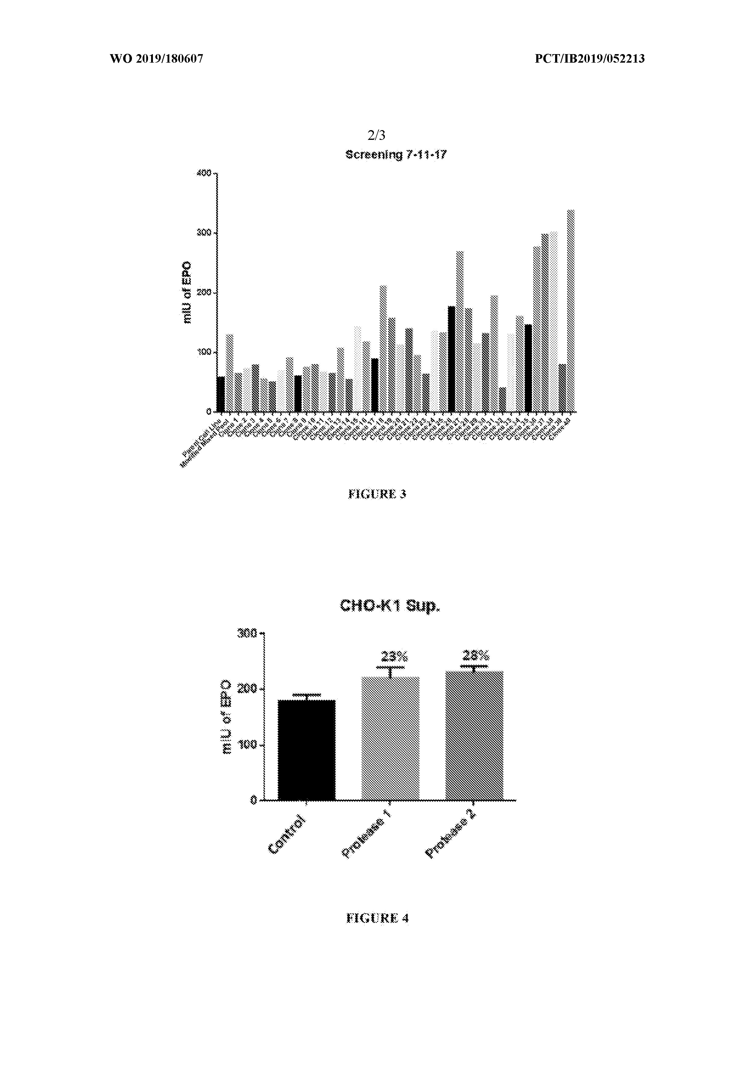 Image thumbnail for Serum Free-Suspension adapted recombinant CHO-K1 cell line with stable production of second generation Human Erythropoietin protein called Darbepoetin (Darbe)