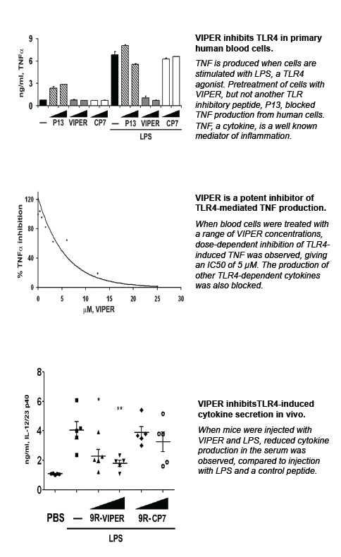 Image thumbnail for VIPER Peptide