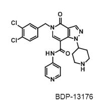 Image thumbnail for BDP-13176  Fascin-1 Inhibitor