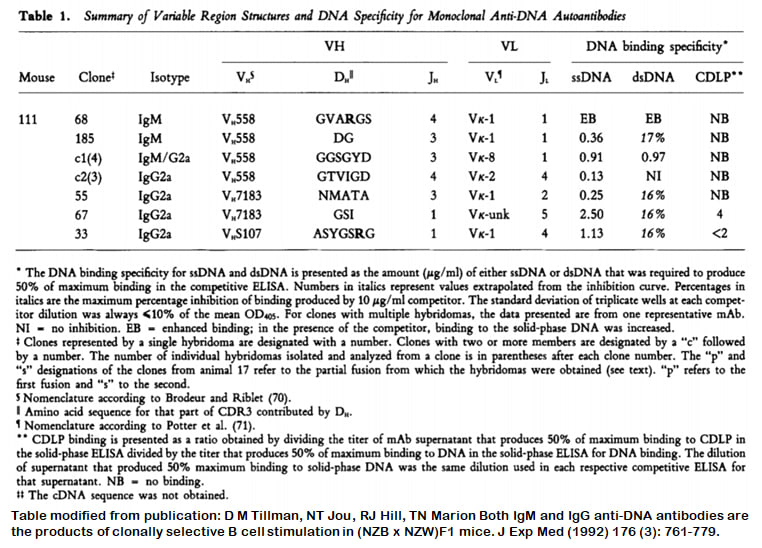 Image thumbnail for Anti-DNA [m111-67] monoclonal antibody