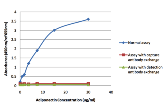 Image thumbnail for Anti-Adiponectin [399R]