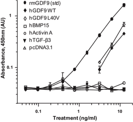 Image thumbnail for Anti-Growth Differentiation Factor 9 [53/1]