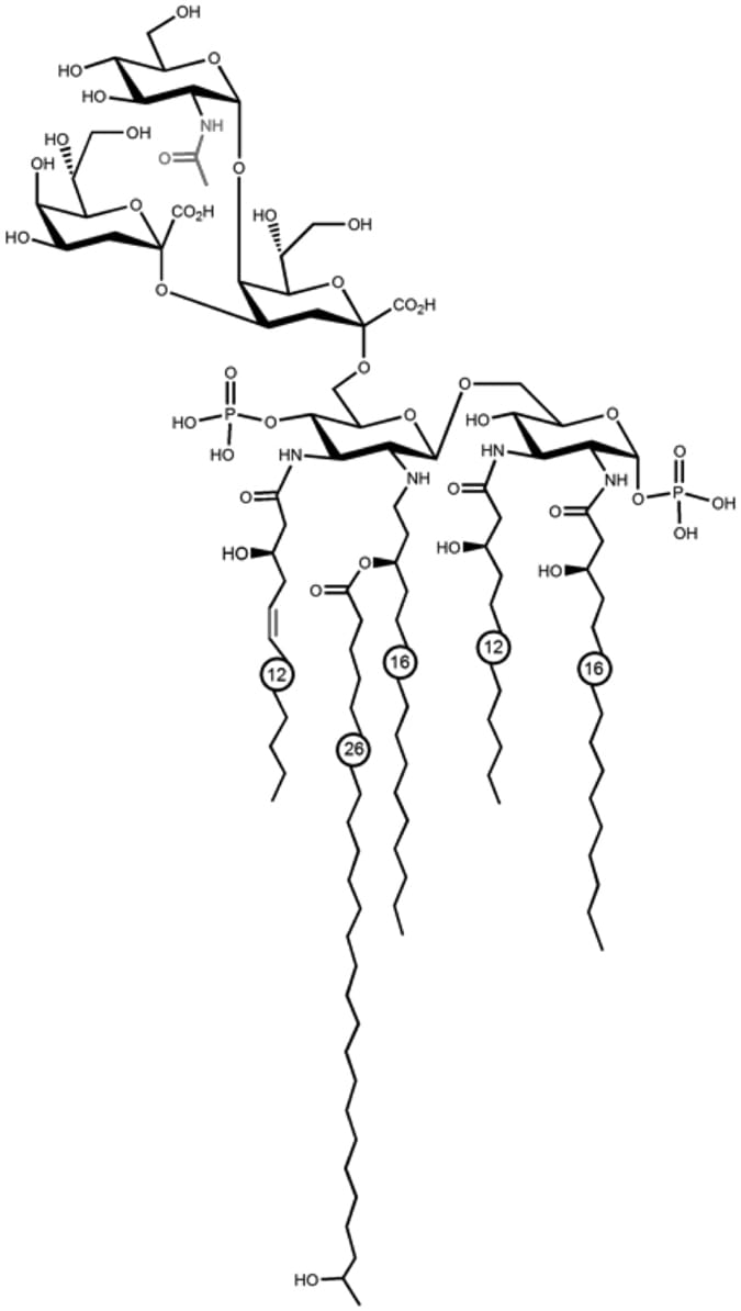 Image thumbnail for Bartonella quintana-derived toll-like receptor 4 antagonist small molecule (tool compound)