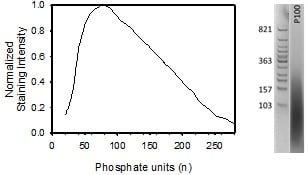 Image thumbnail for Biotinylated medium chain polyphosphate small molecule (tool compound)