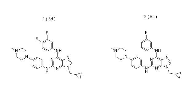 Image thumbnail for CS-5c Bcr-Abl and Btk small molecule kinase inhibitors