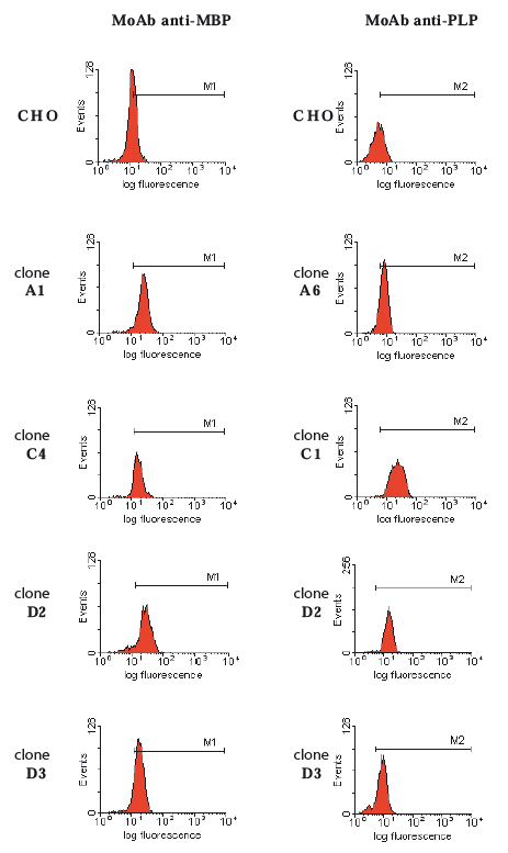 Image thumbnail for Anti-Proteolipid protein [PLPC1]