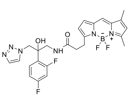 Image thumbnail for Fungi Endoplasmic Reticulum Tracker 5 small molecule (tool compound)