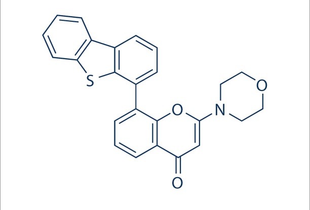 dna pk inhibitor súlycsökkenés