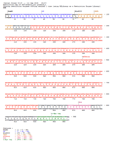 Restriction site map of pcPPT-mPGK-attR-sLPmCherry-WPRE vector