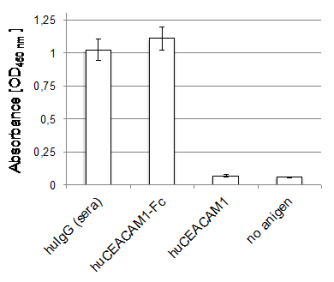 Indirect Enzyme-Linked Immunosorbent Assay (ELISA)
Indicated antigens or no antigen were coated onto wells. After blocking with 1% BSA/PBS anti huFc mAb ivi 6A (5 µg/ml) was added. After washing HRP-coupled anti mouse Ig pAb (goat) was incubated, washed and visualized by TMB detection. 