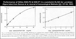 Image for Anti-NSE [NSEP2]