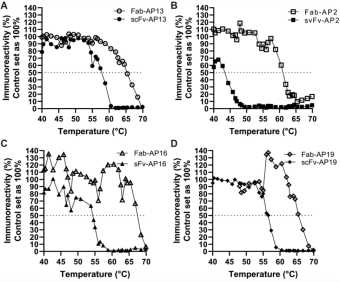 From Arponen et al Calcified Tissue International volume 107, pages 529–542(2020). Conversion from scFv-AP to Fab-AP improved the thermostability of the antibodies. Thermostability of the recombinant antibodies Fab-AP (open) and scFv-AP (solid) was tested by heating the antibodies Fab-AP13 (a), Fab-AP2 (b), Fab-AP16 (c), and Fab-AP19 (d) from 40 °C up to 71 °C. Reference antibody was kept on ice during the heating process and set as 100% and Tm was assessed when 50% of immunoreactivity was lost (gray dot line).