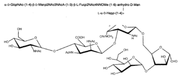  The pentasaccharide in the glycoconjugate composition possesses the following structure