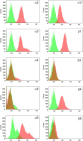 Adapted from Storm RJ, Persson BD, Skalman LN, Frängsmyr L, Lindström M, Rankin G, Lundmark R, Domellöf FP, Arnberg N. Human Adenovirus Type 37 Uses αVβ1 and α3β1 Integrins for Infection of Human Corneal Cells. J Virol. 2017 Feb 14;91(5):e02019-16. doi: 10.1128/JVI.02019-16. PMID: 27974569; PMCID: PMC5309963. Flow cytometry analysis of integrin subunit expression on HCE cells. The following antibodies were used to detect respective integrin subunits: α2 (P1E6), α3 (P1B5), α4 (P4C2), α5 (P1D6), α6 (GoH3), αV (272-17E6), β1 (P5D2), β3 (MF4), β4 (422325), and β5 (H00003693-D01P). Red and green colors represent staining in the presence and absence of primary antibody, respectively. n = 2.