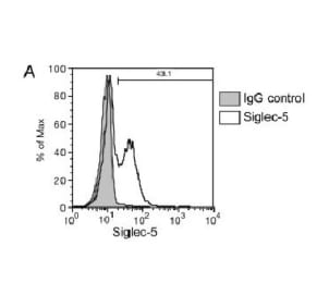 Adapted from Nguyen et al. 2006 PNAS; 103(20): 7765–7770. PMID: 16682635 Figure. Jurkat cells were mock-transfected with no DNA or transfected with 2 μg of pSig5 per 2 × 106 cells using the Nucleofector device. After 24 h, Siglec-5 expression was analyzed by flow cytometry with anti-Siglec-5 and goat anti-mouse IgG Alexa Fluor 488, by using a nonspecific mouse IgG as background