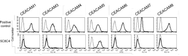 Flow cytometry: Binding of 10 μg/ml primary positive control mAb (upper panel), Anti-CEACAM5/8 [5C8C4] (lower panel), negative isotype matched control mAb (thin line) on different CHO-human CEACAM transfected cells (the CEACAM family member expressed is stated above).