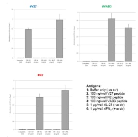 To verify the reactivity of produced mAbs against their specific peptides and the rIFN-γ an indirect-ELISA was developed. Results confirmed that mAbs recognised their specific peptides and the trout rIFN-γ but not trout rIL-21 (negative control):