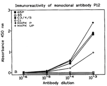 ELISA using clone 98/P12 to test its immunoreactivity against synthetic peptides and proteins. Source: Yon et al. 1995. J Neuroimmunol. 58(2):121-9. PMID: 7759601.
