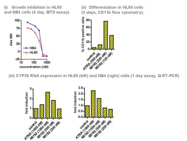 Biological effects of MI-192:
Effects of MI-192 on (i) growth, (ii) differentiation and (iii) gene expression in HL60/NB4 AML cells.
