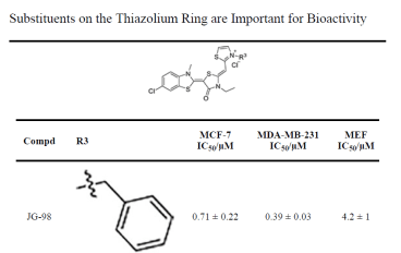 Figure modified from publication: Shao H, Li X, Moses MA, et al. Exploration of Benzothiazole Rhodacyanines as Allosteric Inhibitors of Protein-Protein Interactions with Heat Shock Protein 70 (Hsp70). J Med Chem. 2018;61(14):6163–6177.