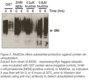 Image for MultiDsk Vector